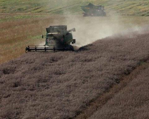 CME Group to launch European rapeseed oil futures