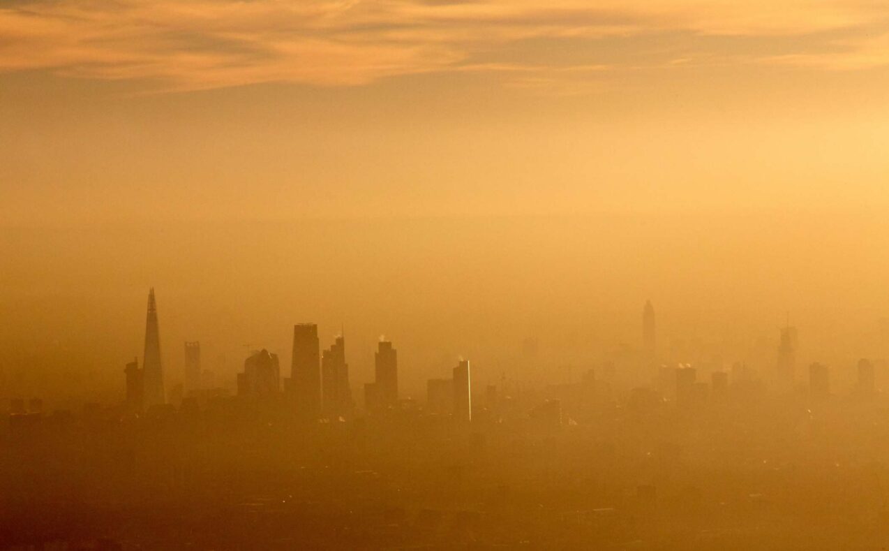 How a mouse study sheds light on air pollution's health impact