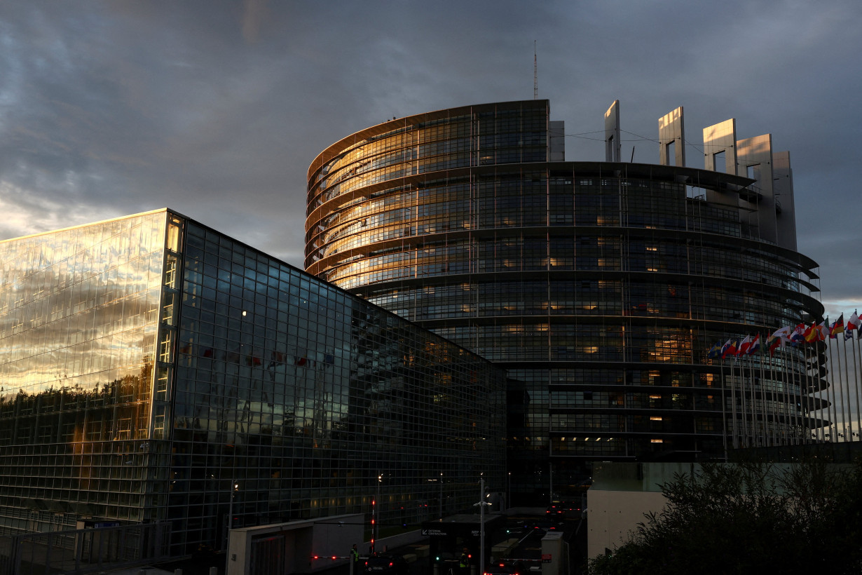 FILE PHOTO: A general view of the building of the European Parliament in Strasbourg