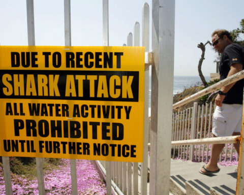Shark attack survivor presses her state for an alert system to keep people safe in the water
