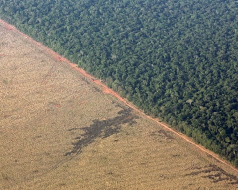 Brazil's government aims to raise $2 billion in financing with new Eco Invest auction