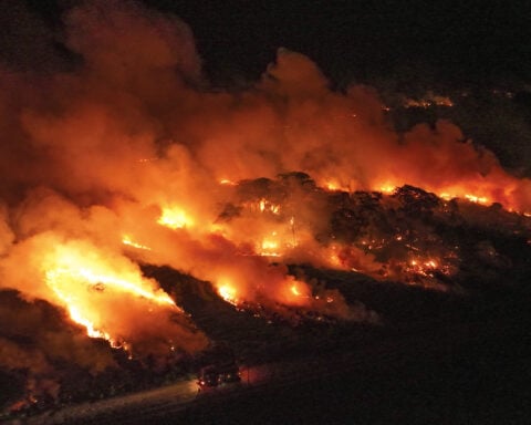 Brazilian justice orders government to seize lands with proven illegal deforestation