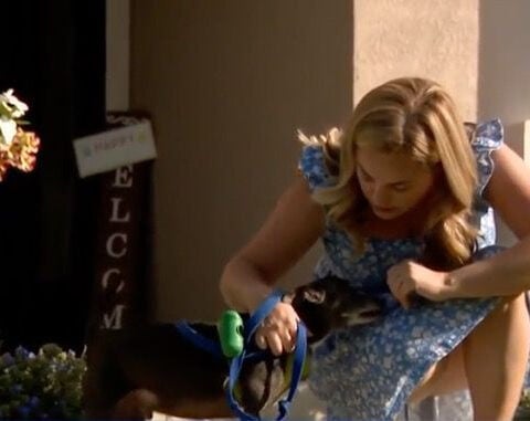 Florida woman uses bag of cookies to save dog from bear attack
