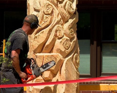 Chainsaw artist transforms Helene-felled trees into sculptures
