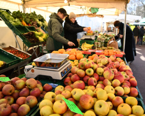 German inflation eases further, strengthening case for ECB cuts