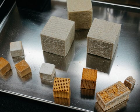 Fungi could be used to build homes one day. Meet the researchers trying to make it possible