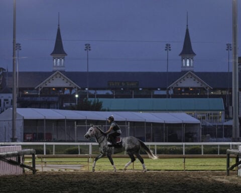 What makes a Kentucky Derby champion? Big hearts, immense lungs and powerful legs