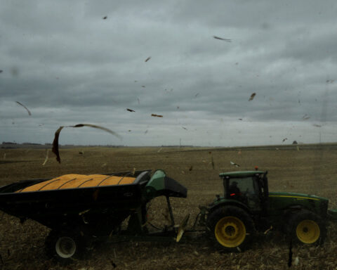 Black US farmers brace for impact amid tariffs turmoil