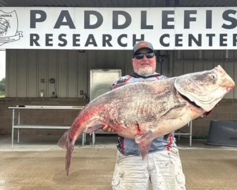 BIGGEST BIGHEAD: Man beats state, personal fishing record