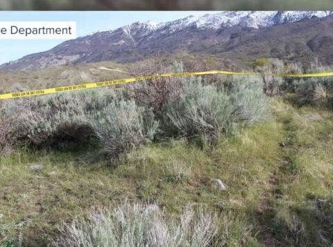 Skeletal remains found in park identified as Alpine woman