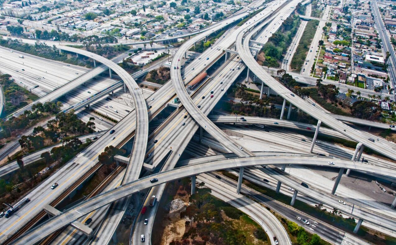 Record high animals dying on Los Angeles roads