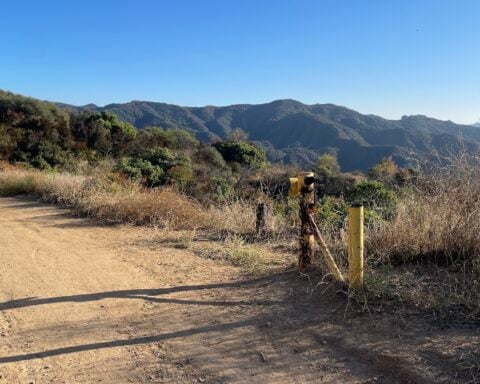 ATF to Conduct Controlled Fire Testing in Santa Monica Mountains