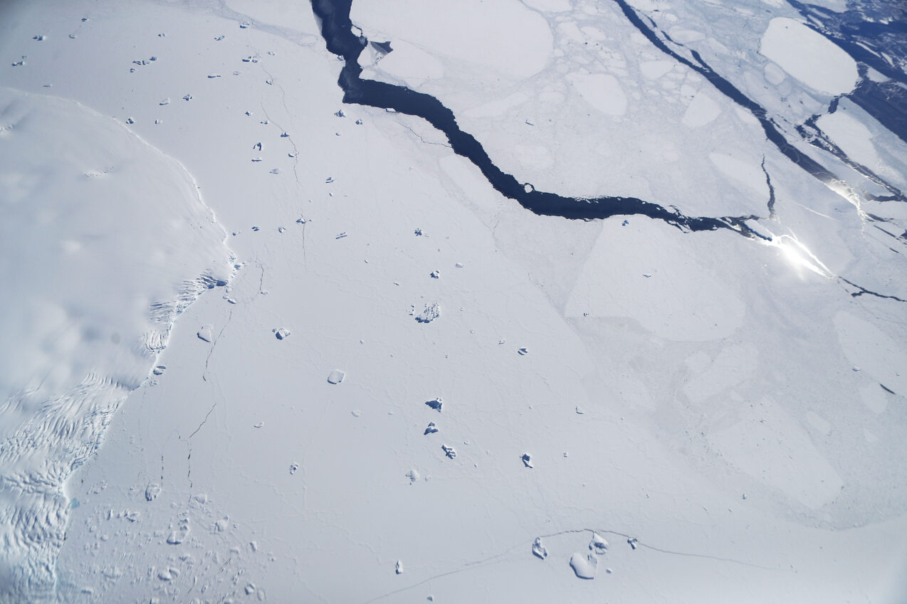 Antarctic iceberg break exposes hidden marine ecosystem thriving