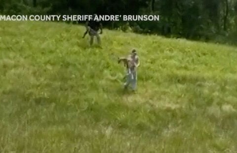 : AL: RUNAWAY KANGAROO SHUTS DOWN HIGHWAY