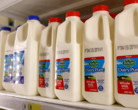 World food prices increase in April, UN's FAO says