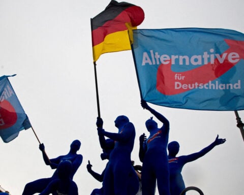 Shifting targets, growing support: The rise of Germany's AfD