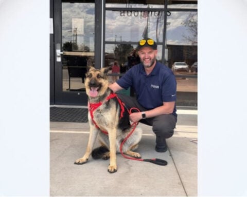 Runaway stray dog, Park Hill Dave, finds loving home with Denver Parks and Recreation