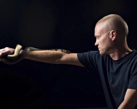 Snakes have bitten this man hundreds of times. His blood could help make a better treatment