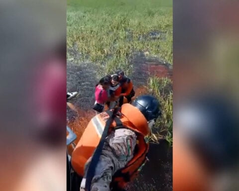 Five people rescued almost two days after plane crashes into alligator-infested swamp