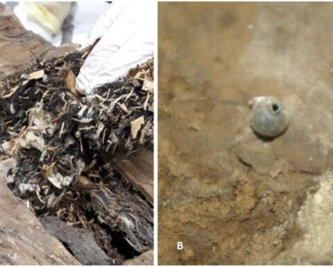 Geoscientists discover magma cap beneath Yellowstone