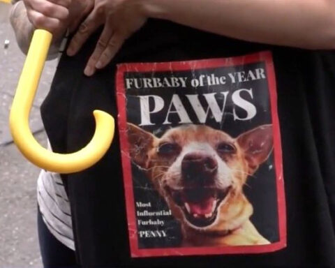 Video show vicious dog-on-dog attack on NYC's Upper West Side