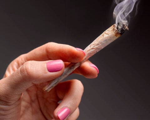 Marijuana is extremely dangerous to the fetus in the womb, study finds