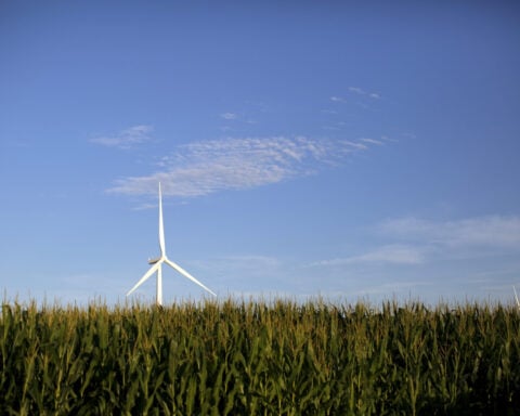 Democratic-led states sue to block Trump's halting of wind projects