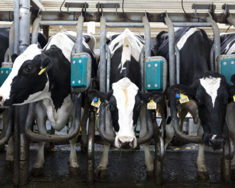 Less farmland is going for organic crops as costs and other issues take root