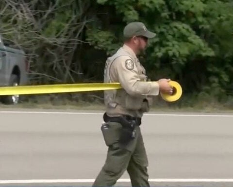DNA tests underway after bear attack in Florida kills man and dog