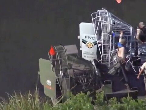 Woman thrown from canoe by thrashing gator, falls into water where she was attacked and killed