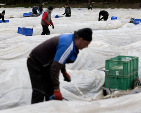 Foreign workers a key driver of euro zone growth, say ECB economists