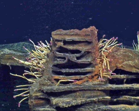 Mile-wide underwater volcano ready to erupt off the West Coast