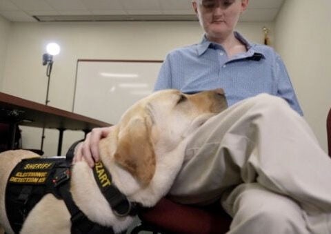 He feared law enforcement. Now he and a K9 share a special bond thanks to police social workers