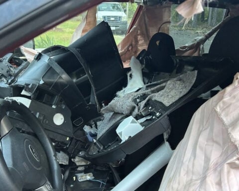 Bear breaks into SUV, family captures unforgettable encounter