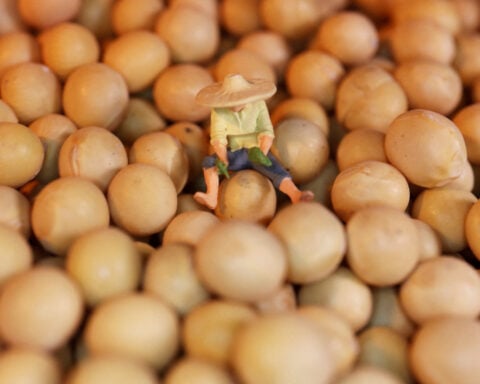 China's April soybean imports hit decade-low as customs delays disrupt trade