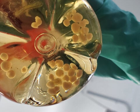 Science requires ethical oversight – without federal dollars, society’s health and safety are at risk