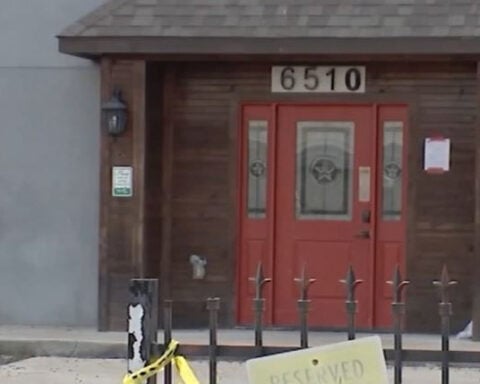 Roommate stabbed woman 28 times after fight over cat, records say