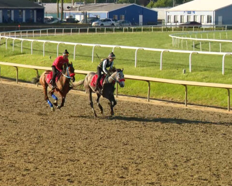Maryland women make names for themselves in male-dominated horseracing industry