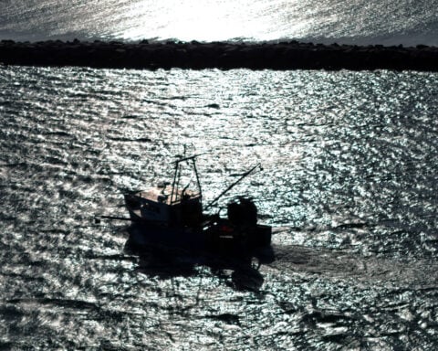 Trump to allow commercial fishing in New England marine monument