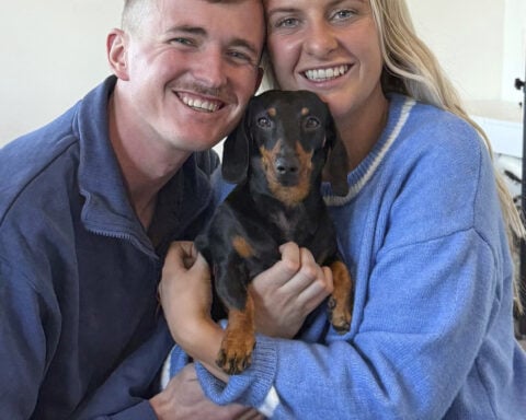 A miniature dachshund is reunited with its owner after 18 months lost on an Australian island