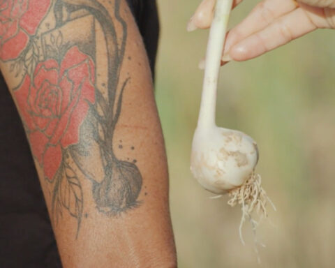 A unique variety of garlic is in danger of extinction. One woman is trying to keep it alive