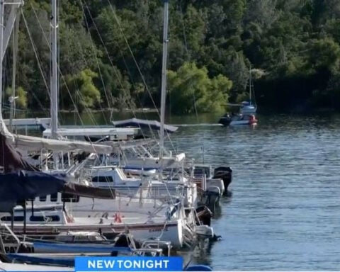 Fewer boats on Folsom Lake as quarantines continue due to invasive golden mussels