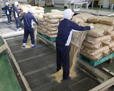 Japan supermarket rice prices fall for first time in 18 weeks