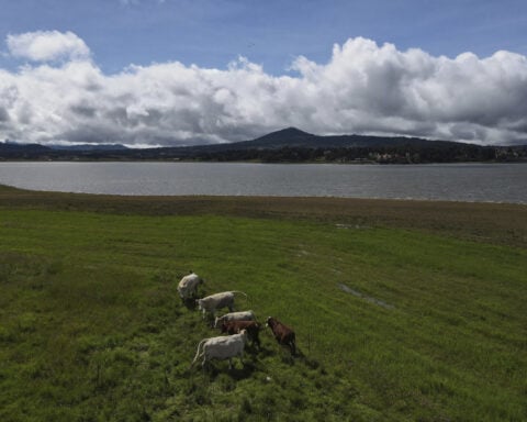 Mexico says US suspension of beef imports because of screwworm is unfair