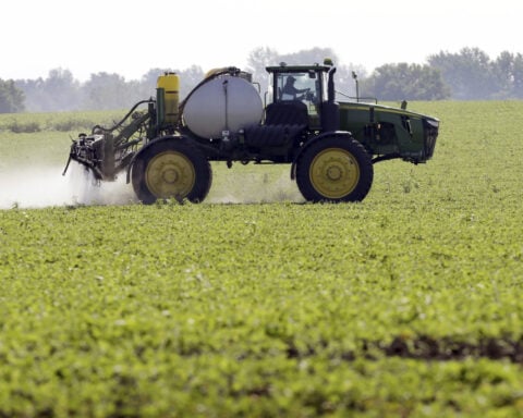 Georgia becomes second US state to shield maker of Roundup weed killer from some cancer claims