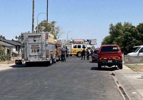 Tree trimmer dies after being rescued from 50-foot palm tree