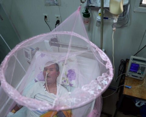 US health officials advise older travelers not to get a chikungunya vaccine