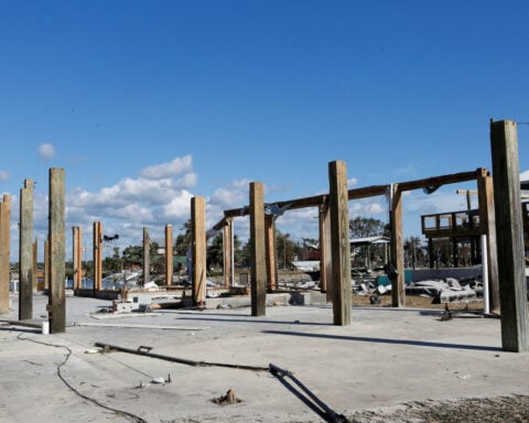 Global banking regulators agree to prioritise climate risk work