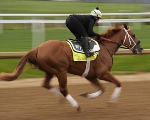 Journalism opens as the 8-5 morning line favorite for the 150th Preakness Stakes