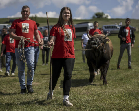 A teenage bullfighting enthusiast celebrates victories in Bosnia